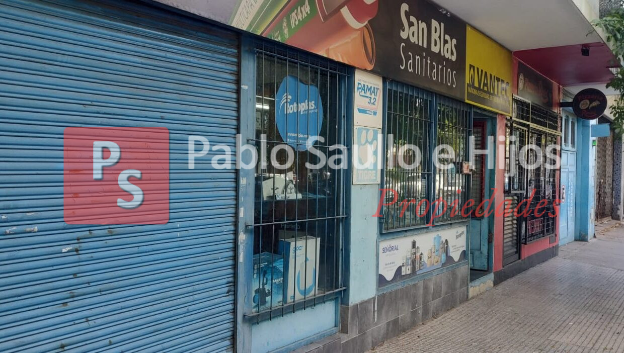 lisandro de la torre 1037 (8)