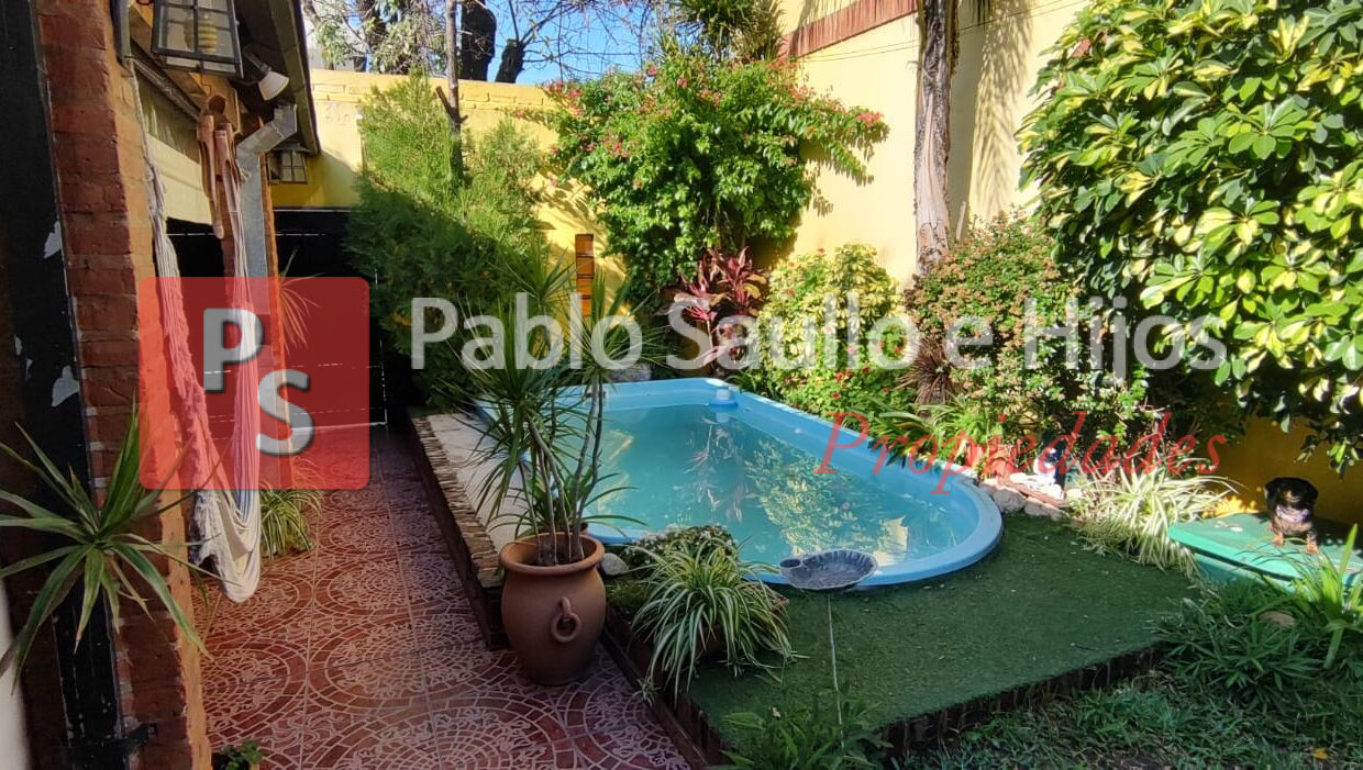 patron 7045 (16)