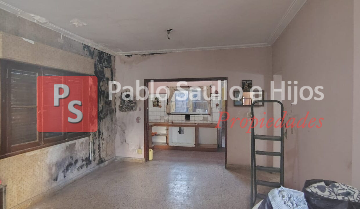 Montiel 1418 Lote (1)