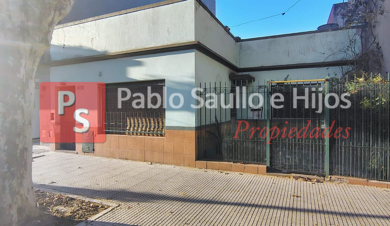 Montiel 1418 Lote (11)