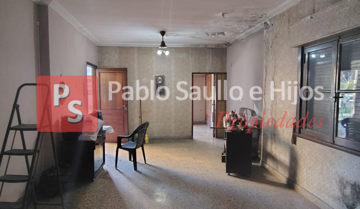 Montiel 1418 Lote (7)