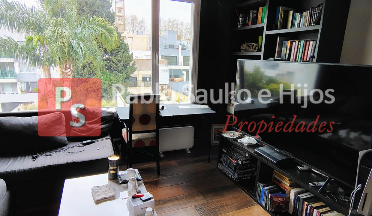araujo 350 (4)