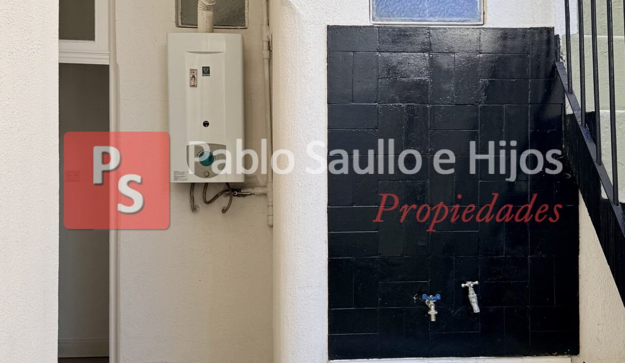 Camarones 1736 PB 4 (4)